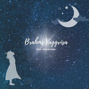 国产免费性爱视频
