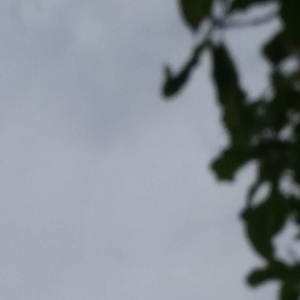 国产免费性爱视频
