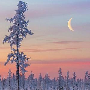 国产免费性爱视频
